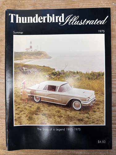 Thunderbird illustrated summer - thunderbird,